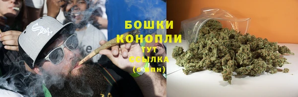 PSILOCYBIN Заволжск