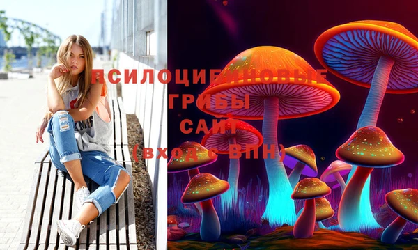 крисы Новозыбков