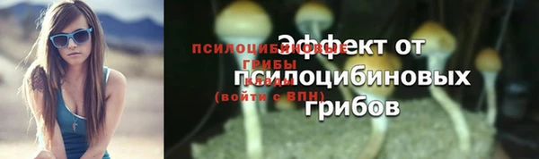 гидропоника Краснотурьинск