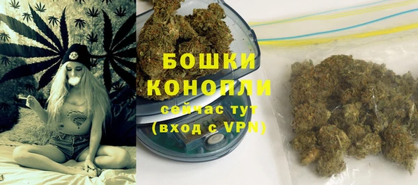 стафф Новокубанск