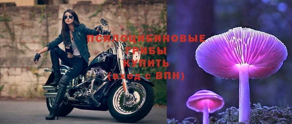 соль ск Коряжма