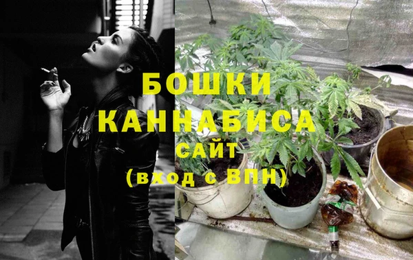 шишки Ишимбай