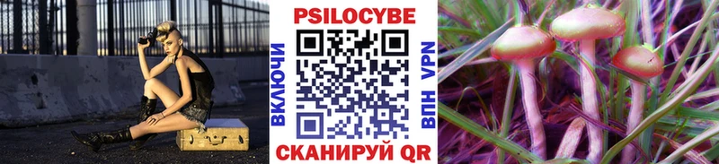 Псилоцибиновые грибы Psilocybine cubensis  купить закладку  Лыткарино 