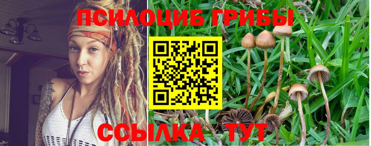 купить  сайты  Галлюциногенные грибы Psilocybe  Вход с VPN  Лыткарино 
